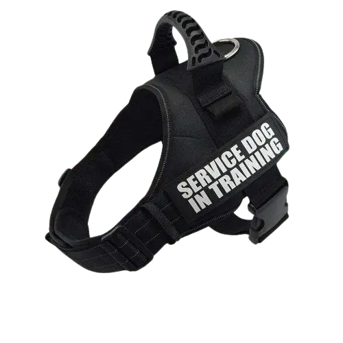 Black Harness ID Name For Dogs showcasing reflective material for nighttime safety. BUY FOR DOG