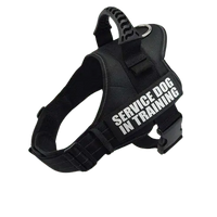 Black Harness ID Name For Dogs showcasing reflective material for nighttime safety. BUY FOR DOG