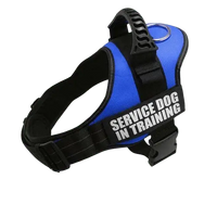 Royal Blue Harness ID Name For Dogs with adjustable straps and ergonomic design. BUY FOR DOG