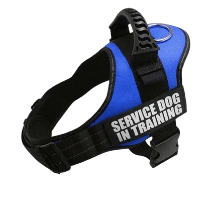 Royal Blue Harness ID Name For Dogs with adjustable straps and ergonomic design. BUY FOR DOG