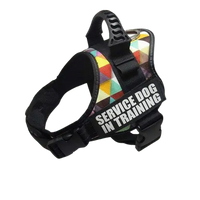 Color Grid Harness ID Name For Dogs featuring a unique, multi-color grid pattern for a standout look. BUY FOR DOG