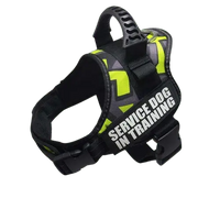 Green Doodle Harness ID Name For Dogs, featuring a playful doodle pattern in green for everyday fun. BUY FOR DOG