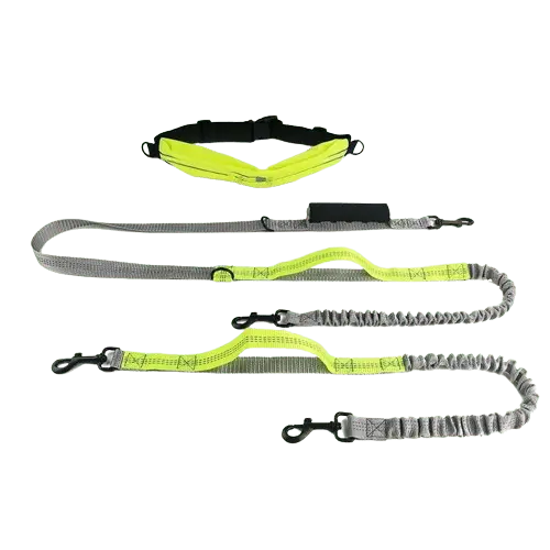 Durable reflective dog leash with high-quality materials for safe and secure walking experiences. Buy for Dog