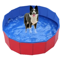 Pet Wading Pool set up in a sunny garden. Buy for Dog