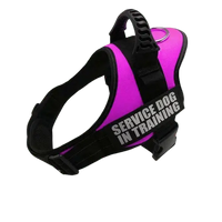 Pink Harness ID Name For Dogs, ideal for personalized pet safety and style. BUY FOR DOG