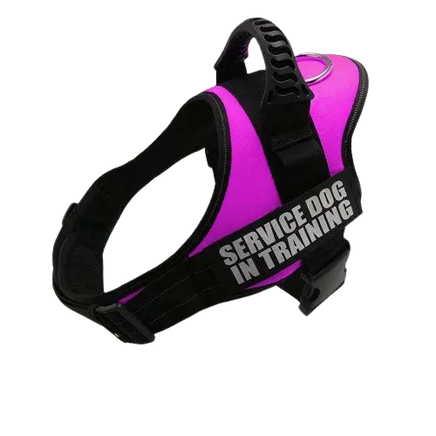 Pink Harness ID Name For Dogs, ideal for personalized pet safety and style. BUY FOR DOG