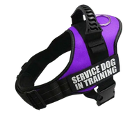 Purple Harness ID Name For Dogs, combining fashion with comfort for daily wear. BUY FOR DOG
