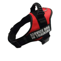 Vibrant Red Harness ID Name For Dogs, perfect for stylish pets and enhanced visibility. BUY FOR DOG