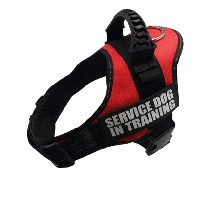 Vibrant Red Harness ID Name For Dogs, perfect for stylish pets and enhanced visibility. BUY FOR DOG