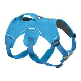 Dogs Harness and a Collar BUY FOR DOG