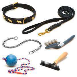 Accessories BUY FOR DOG