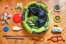 Essential dog supplies and accessories for all your dog's needs.