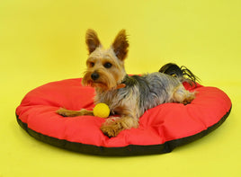 Premium Dog Beds: Orthopedic, Calming, Plush & More for all breeds.