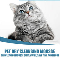 Pet Dry Wash Dry Cleaning Foam Body Wash For Cat And Dog Bath