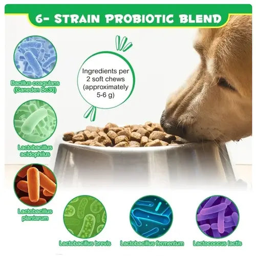 Six strain probiotic blend used in chews for dogs including lactobacillus and bacillus coagulans.