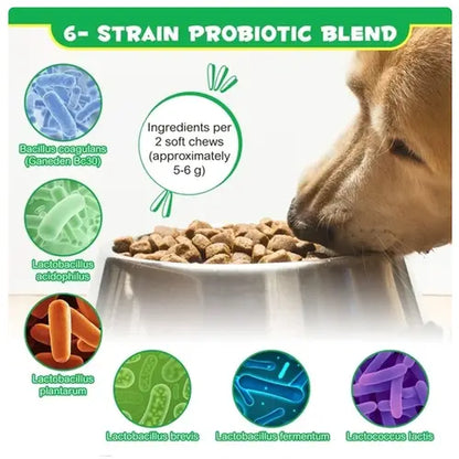 Six strain probiotic blend used in chews for dogs including lactobacillus and bacillus coagulans.