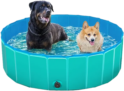 Family fun in the sun with the durable Dog Swimming Pool XXL™ by BUY FOR DOG, featuring a non-slip bottom for pet and child safety.