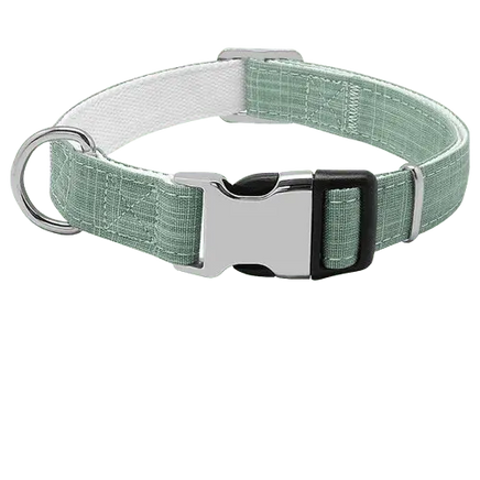 Light Green dog collar ID, offers a fresh and youthful look for your pet. BUY FOR DOG