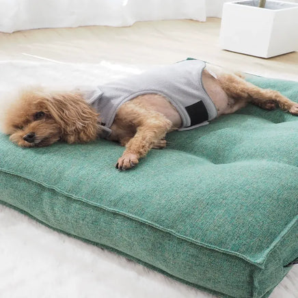 EcoLIFE dog bed made from recycled materials, eco-friendly sleeping solution for pets