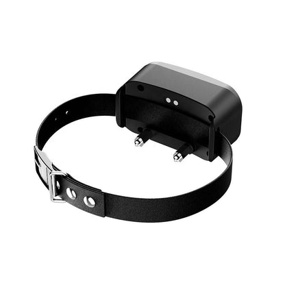 Easy setup GPS dog fence with no monthly fees by BUY FOR DOG