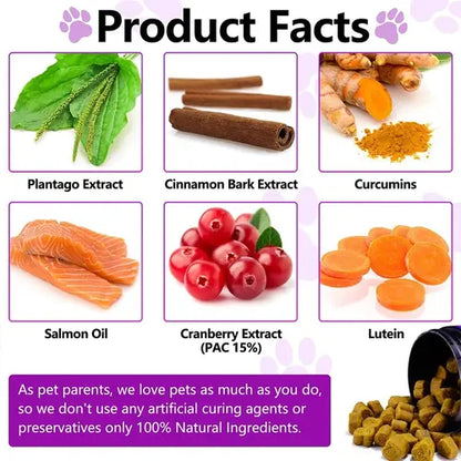 Natural ingredients used in dog probiotic chews including plantago, curcumin, and salmon oil.