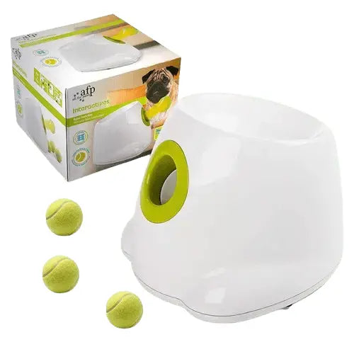 Dog playing fetch with automatic ball launcher.