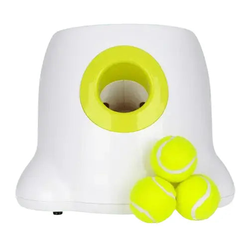 Dog running after ball outdoors.