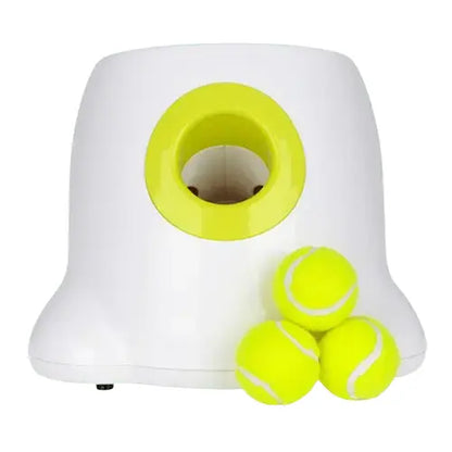 Dog running after ball outdoors.