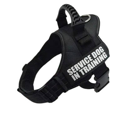 Black Harness ID Name For Dogs showcasing reflective material for nighttime safety. BUY FOR DOG