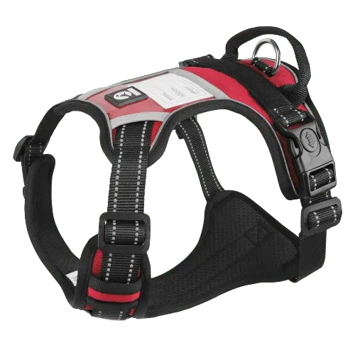 Black and red dog harness with a durable nylon construction and a comfortable fit.