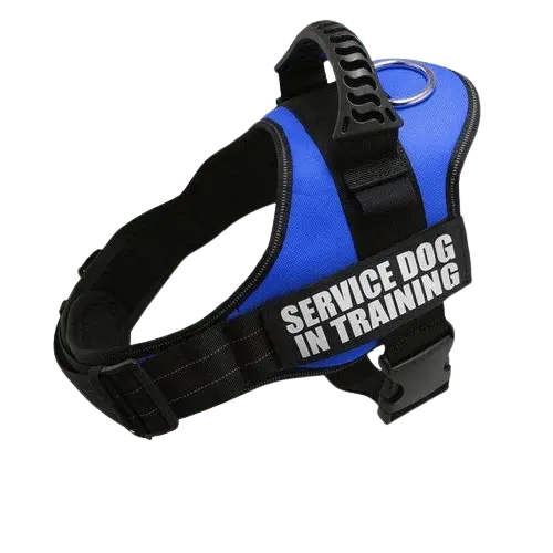 Royal Blue Harness ID Name For Dogs with adjustable straps and ergonomic design. BUY FOR DOG