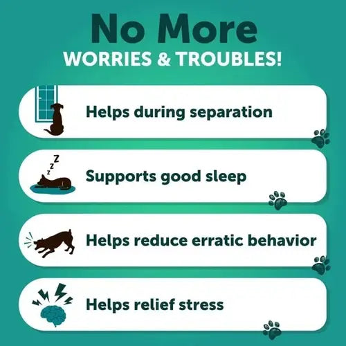 Calming chews help dogs during separation, support sleep and reduce erratic behavior.