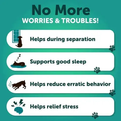 Calming chews help dogs during separation, support sleep and reduce erratic behavior.