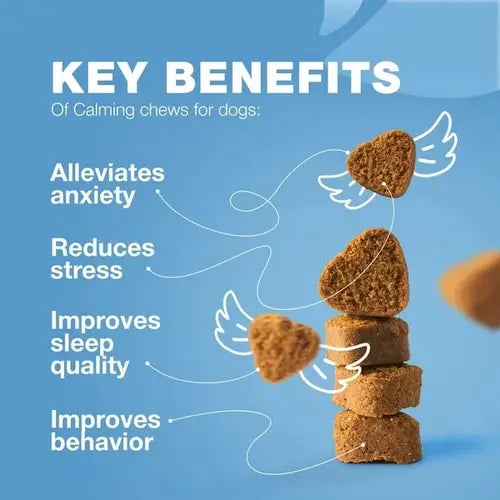 Key benefits of calming chews – reduces anxiety, improves sleep, lowers stress, and supports better behavior in dogs.