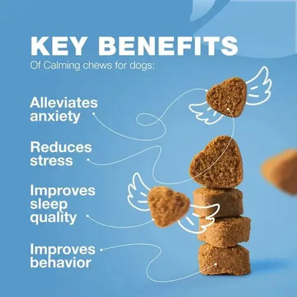 Key benefits of calming chews – reduces anxiety, improves sleep, lowers stress, and supports better behavior in dogs.