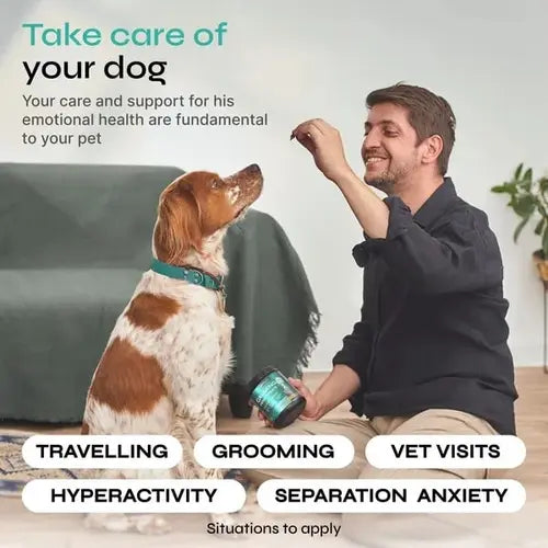 Calming chews ideal for traveling, grooming, vet visits, and separation anxiety – owner giving treat to dog.