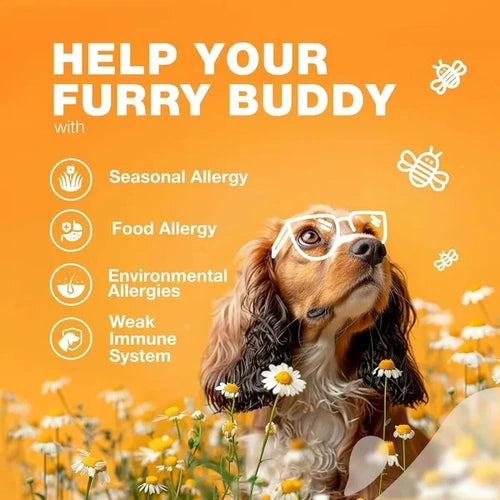 Dog allergy support – seasonal allergy, food allergy, environmental allergies, immune system support for dogs with Chewia chews