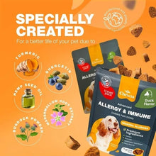 Chewia Allergy and Immune Chews for Dogs – turmeric, quercetin, hemp seed oil, burdock root, marshmallow root, duck flavor supplement