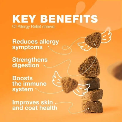 Key benefits of Chewia allergy relief chews – reduce allergy symptoms, strengthen digestion, boost immune system, improve coat health