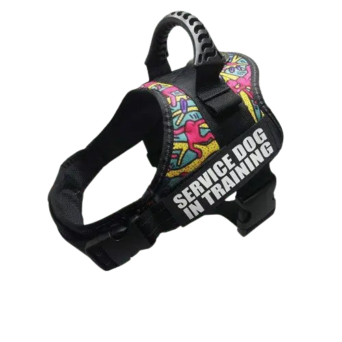Color Doodle Harness ID Name For Dogs with a fun and artistic doodle design for creative pets. BUY FOR DOG
