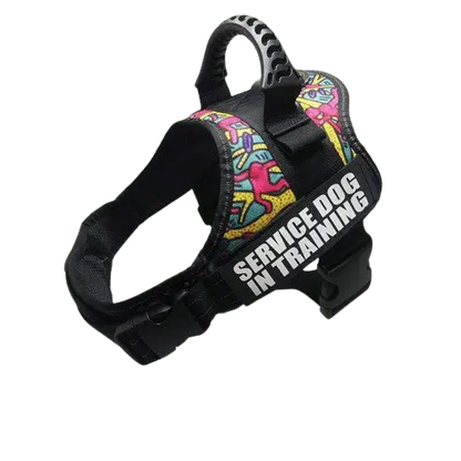 Color Doodle Harness ID Name For Dogs with a fun and artistic doodle design for creative pets. BUY FOR DOG