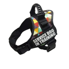 Color Grid Harness ID Name For Dogs featuring a unique, multi-color grid pattern for a standout look. BUY FOR DOG