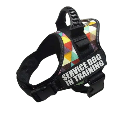 Color Grid Harness ID Name For Dogs featuring a unique, multi-color grid pattern for a standout look. BUY FOR DOG