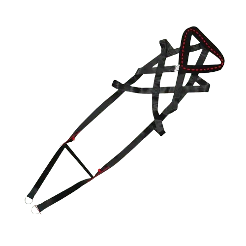 Comfortable padded dog harness for training. Buy for Dog