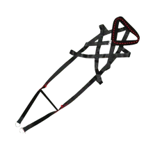 Comfortable padded dog harness for training. Buy for Dog