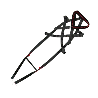 Comfortable padded dog harness for training. Buy for Dog