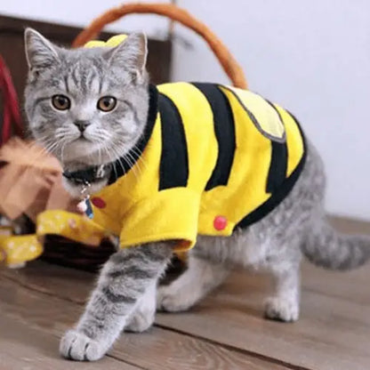 Fashionable pet wearing Buzzing Bee fleece clothes, perfect for both dogs and cats. Buy for Dog