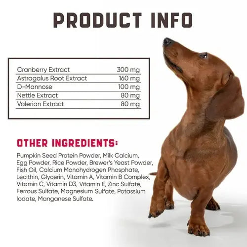 List of active ingredients in cranberry bladder support supplement for dogs with dachshund on the side.