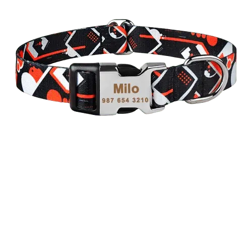 Custom Dog ID Collar with Engraved Name | Safe & Stylish