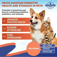 Probiotic supplement benefits for dogs and cats – promotes digestive health, nutrient absorption, and stool improvement.